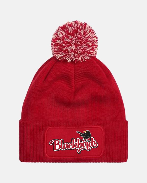Diamond Pride PomPom Patch Beanie  Wolfsburg Blackbirds , Bird, rot Schn?ppchen
